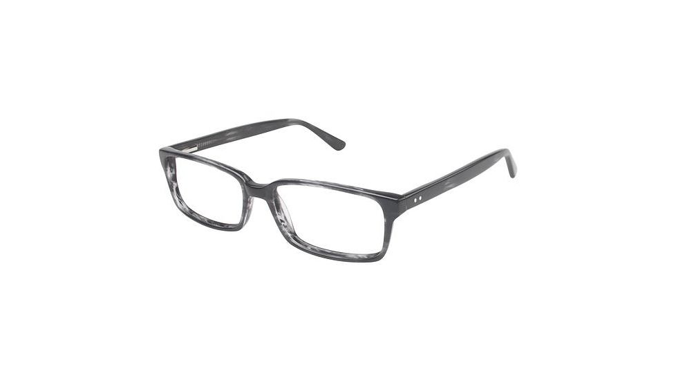 Visions 202 Bifocal Prescription Eyeglasses - Frame Grey Tortoise, Size 54/15mm VIVISION20203