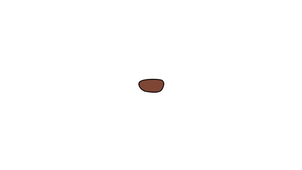 Wiley X P-17 Sunglass Replacement Lenses - Bronze Brown Flash P-17BB
