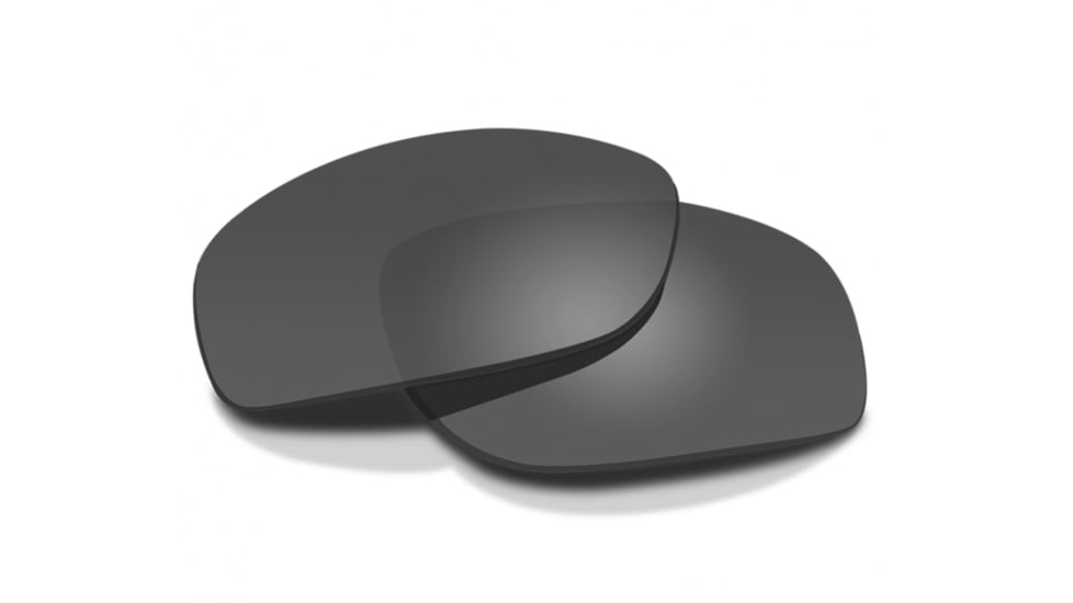 Wiley X WX Rebel Sunglasses, Matte Black Frame, ACREBPALT